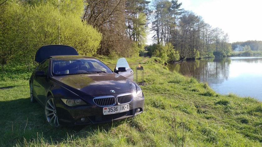 БМВ е60 в лесу