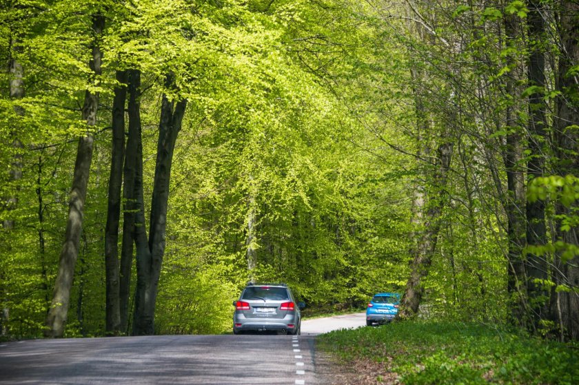 Машина в лесу