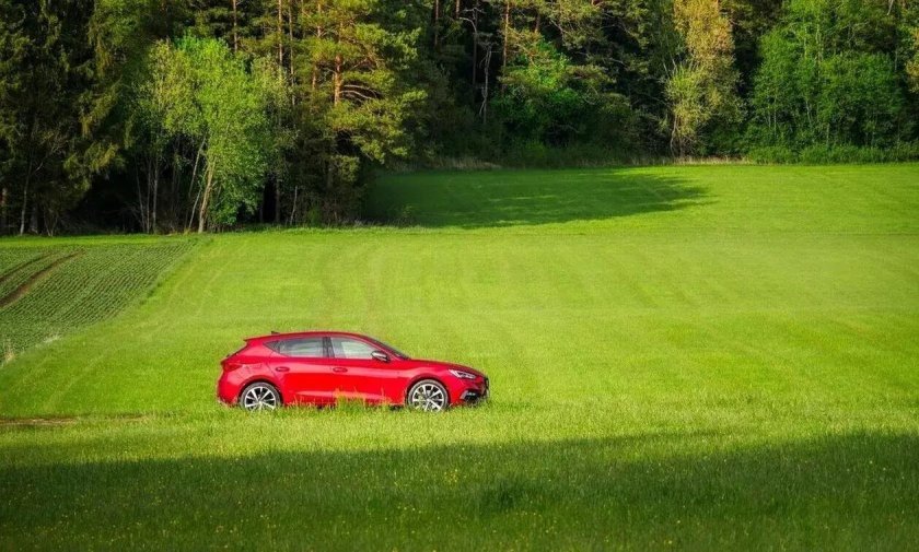 Машина на траве