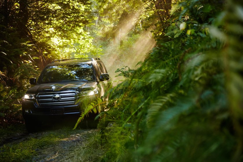 Ленд Крузер 200 в лесу