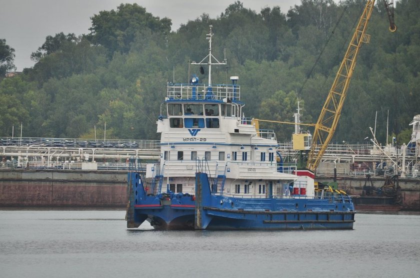 Толкач Волгарь