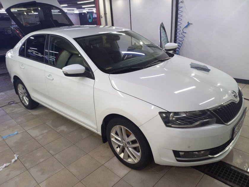 Шкода рапид 2017 года