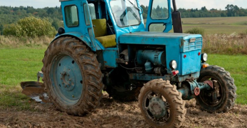 Синий трактор МТЗ 80