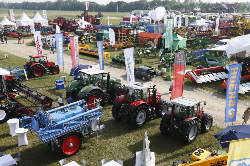 Золотая Нива 2020