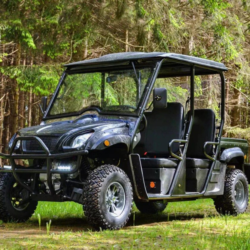 Buggy 4x4 utv