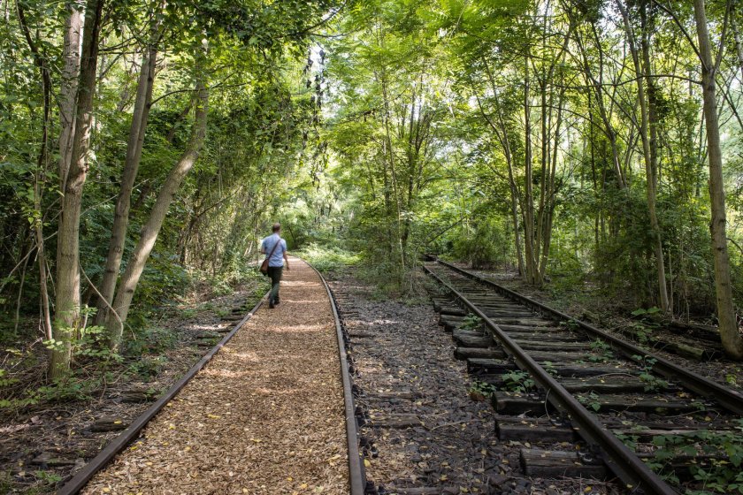 Парки путей