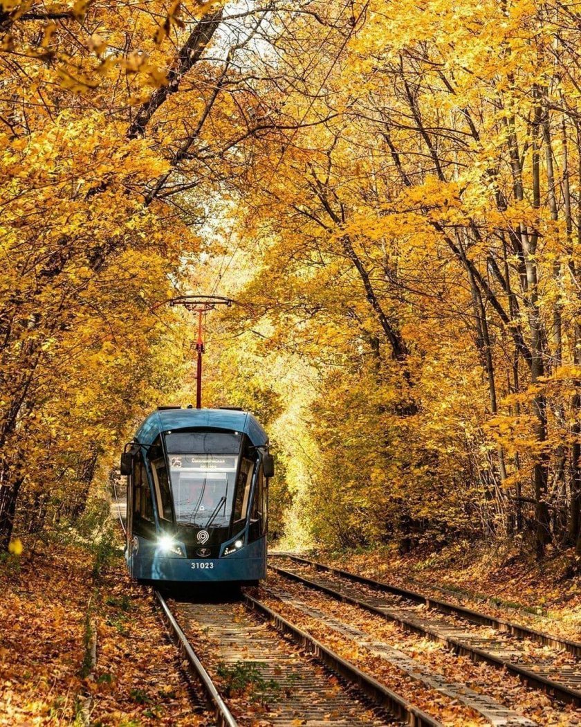 Трамвай Измайловский парк