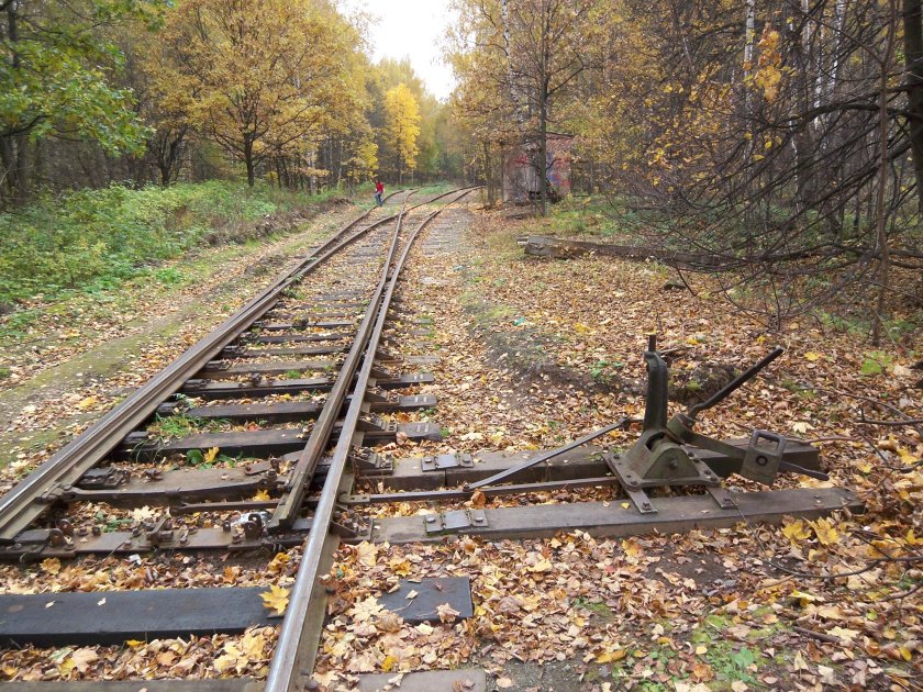 Заброшенная Железнодорожная ветка в Лосином острове