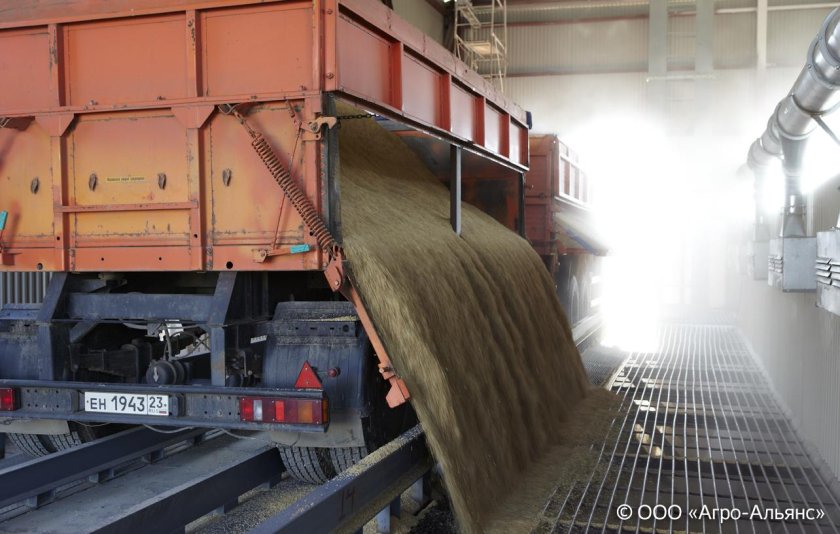 Зерновоз камаз