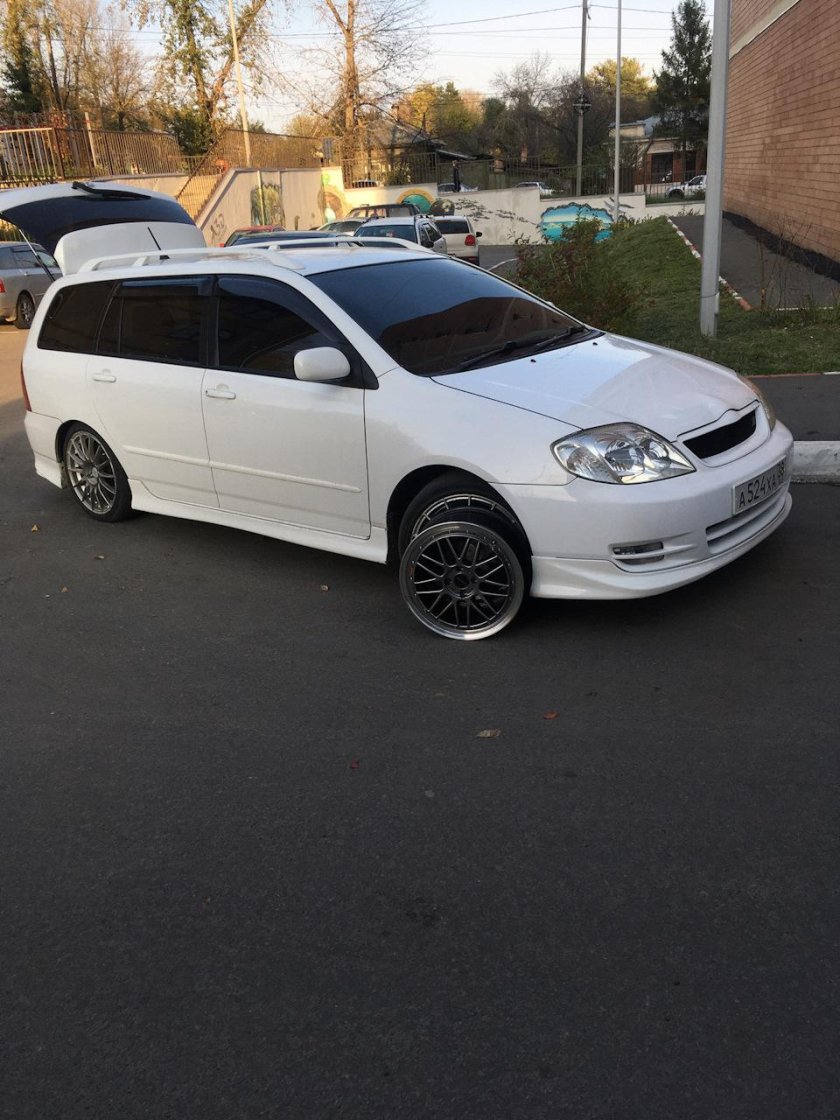 Диски на Toyota Corolla Fielder 18