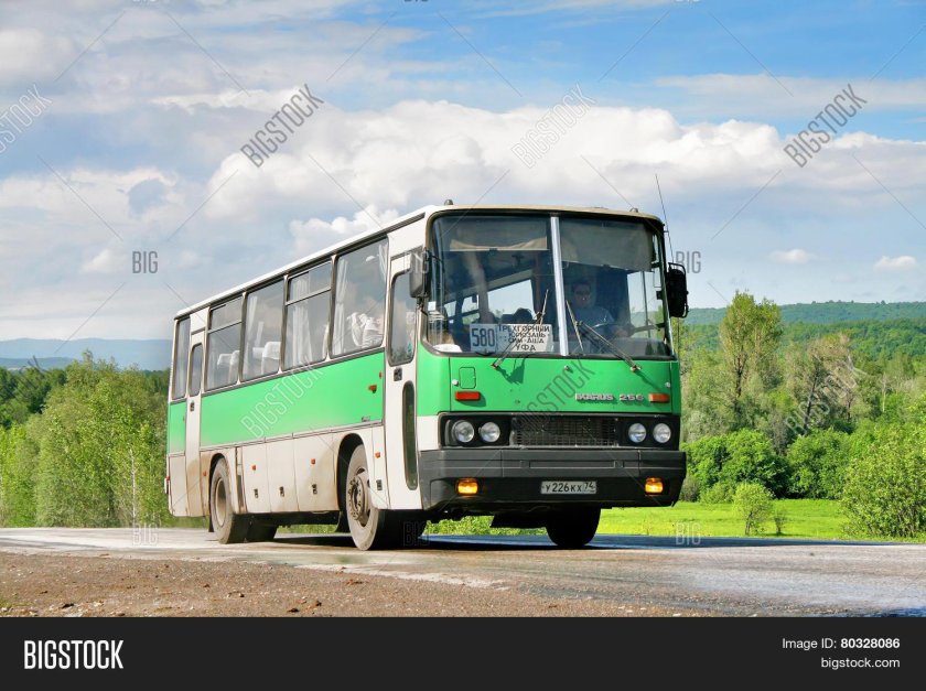 Икарус 256 зеленый