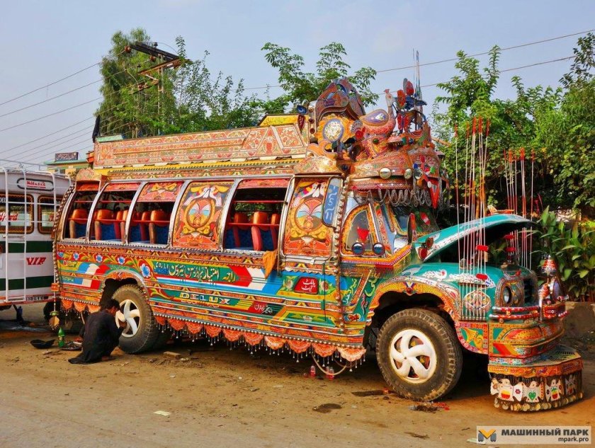 Афганская Барбухайка