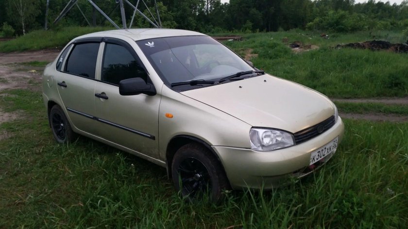 Мускат 620 Калина