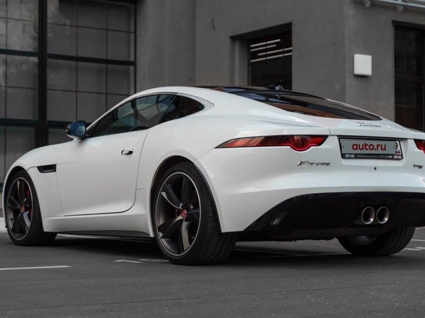 Белый ягуар