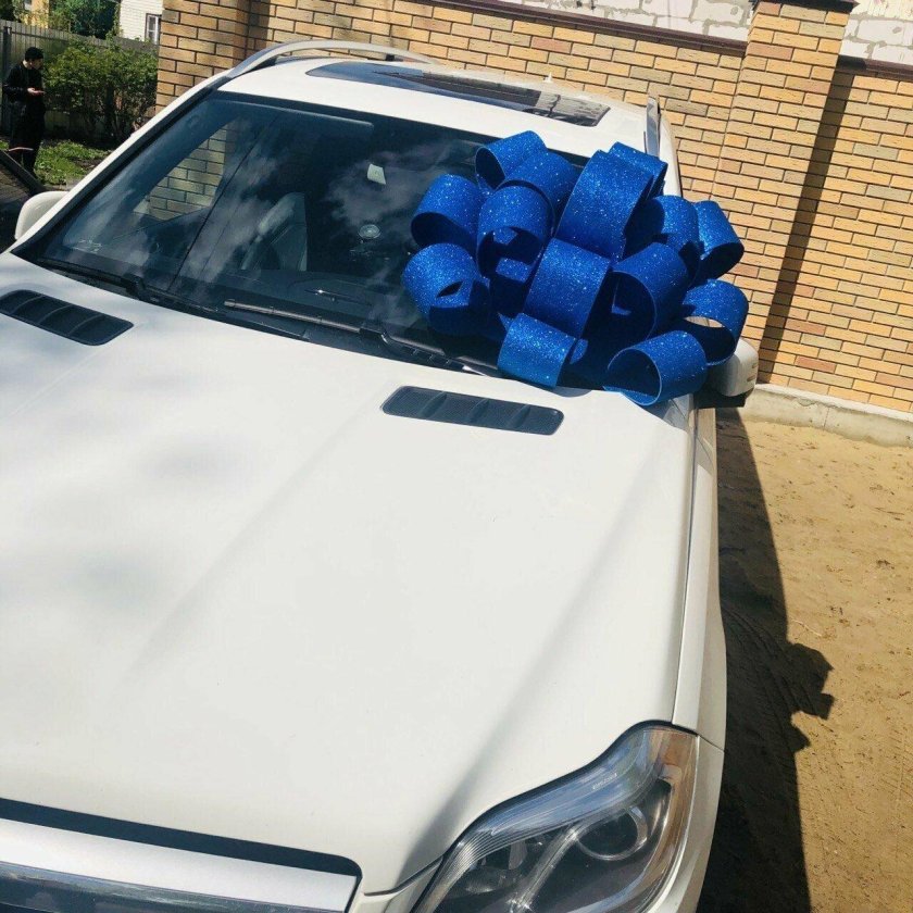 Бант гигант