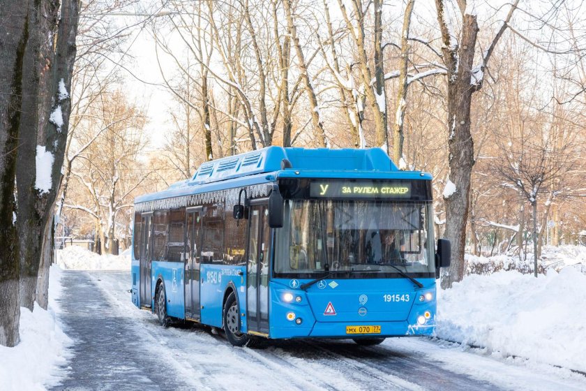 Автобусы России