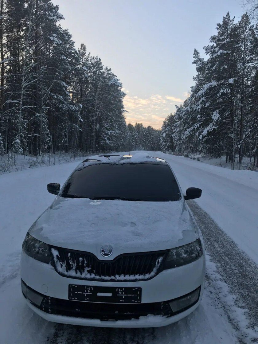 Skoda Rapid белый бункер