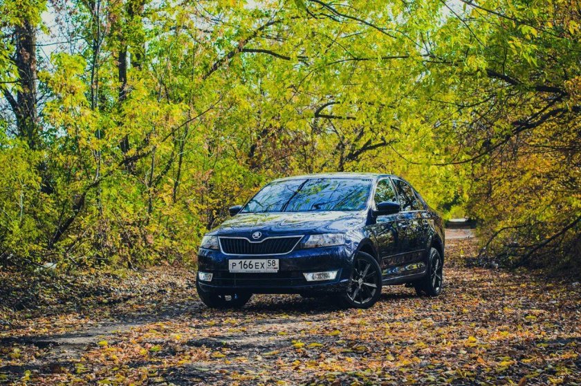 Шкода Рапид в лесу