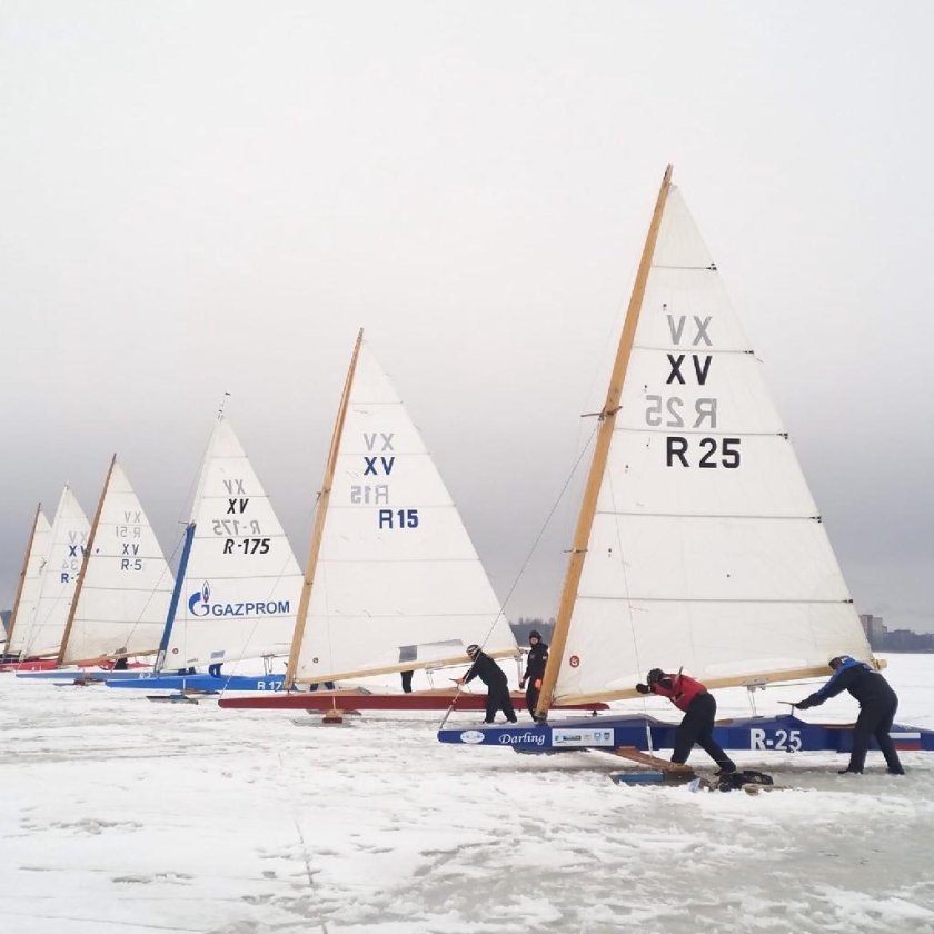 Буер монотип 15