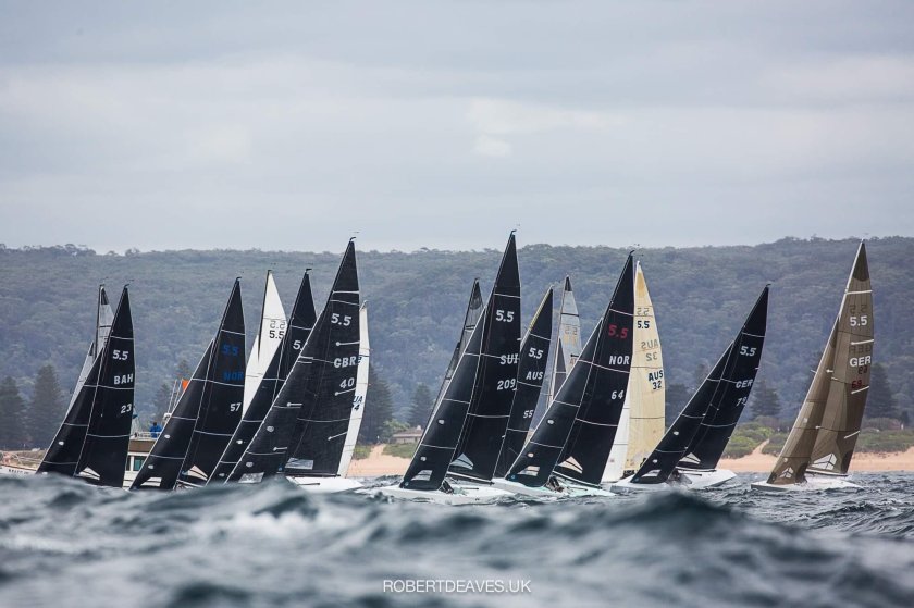 Яхты монотипы