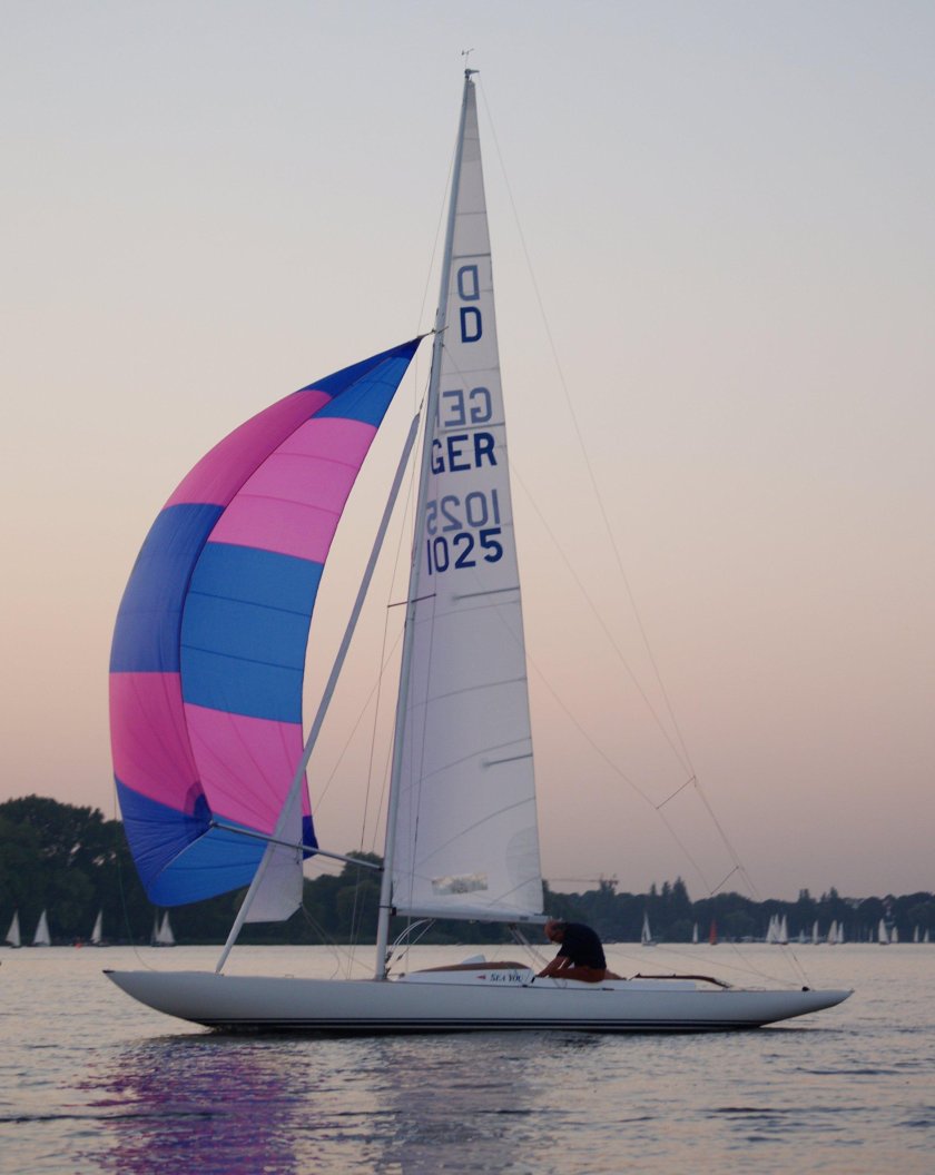 Швертбот дракон