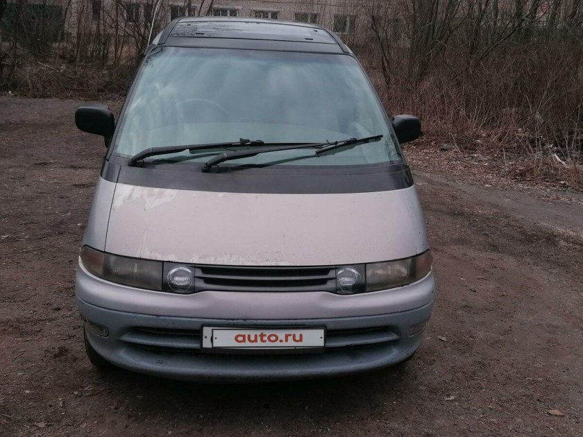 Эстима люсида