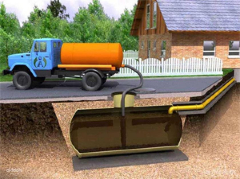 6 Кубов шамбо