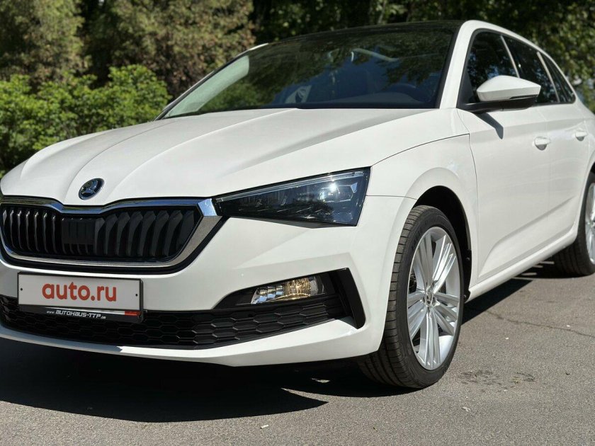 Шкода скала