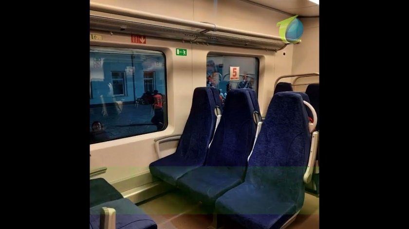 Поезд Ласточка вагон 2п