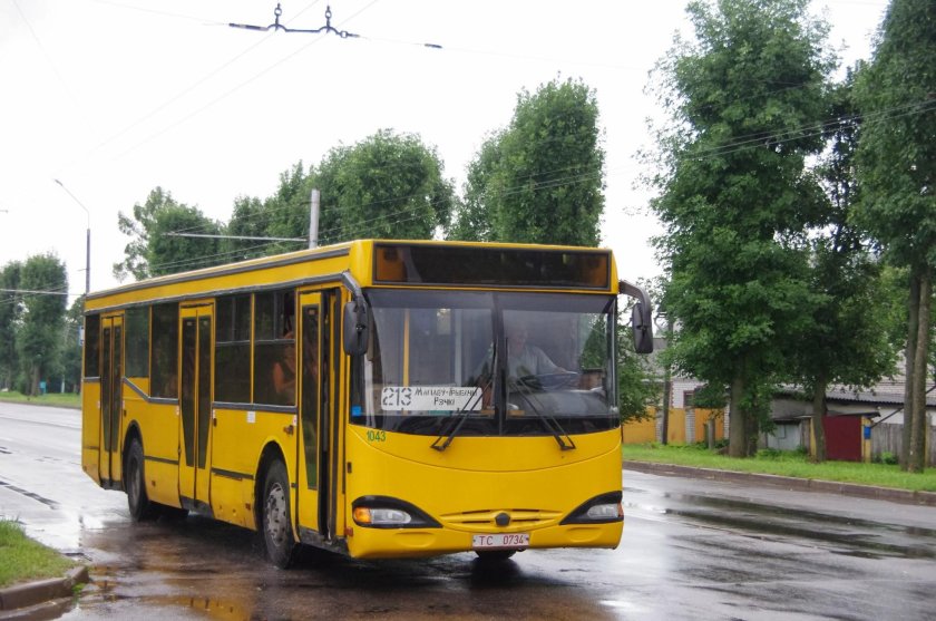 Автобусный транспорт