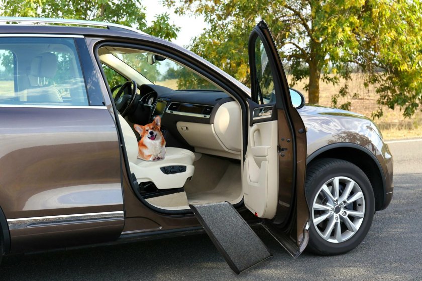 Дверь автомобиля