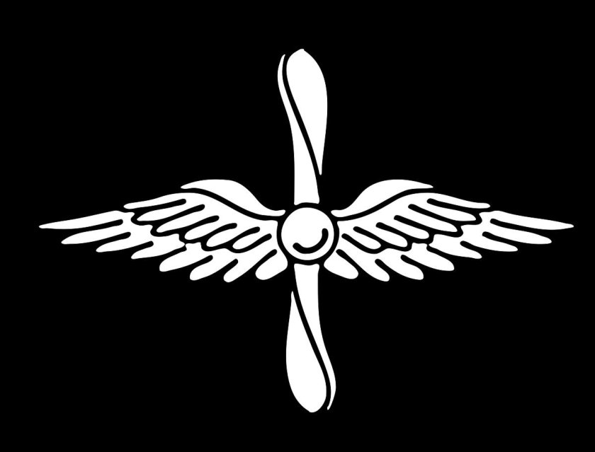 Символ ВВС СССР