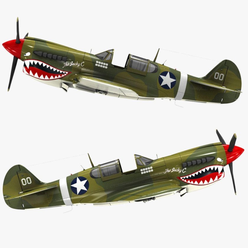 P-40 Fighter