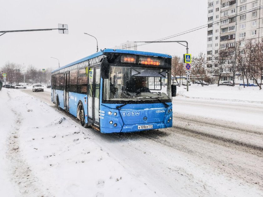 Москва автобус