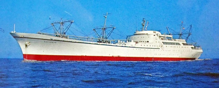 Атомоход саванна американский