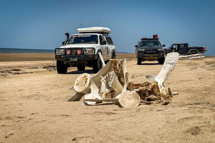 Намибия берег скелетов (skeleton coast)
