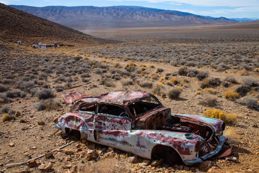 Ambassador - Wild Desert