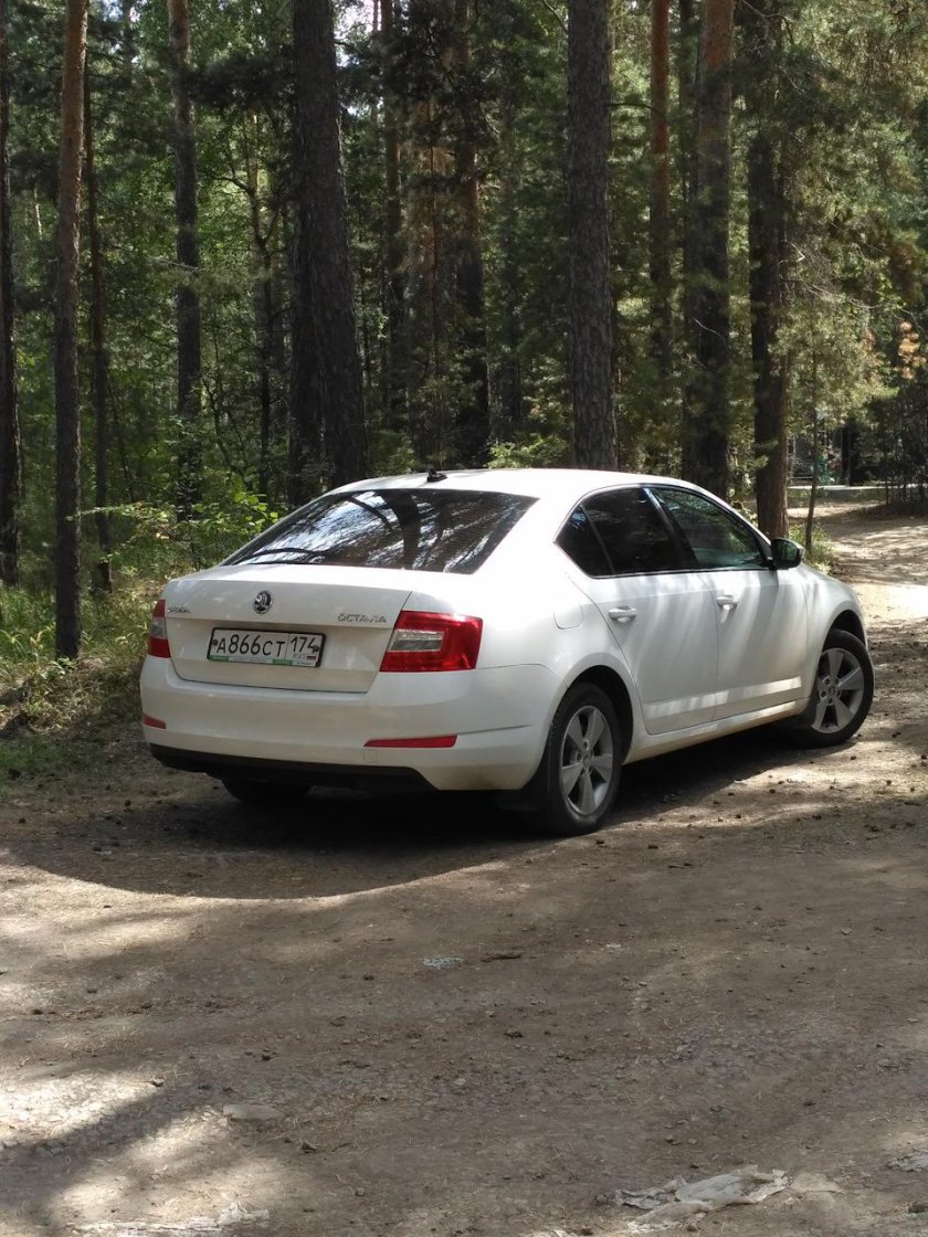 Тойота Октавия 2014