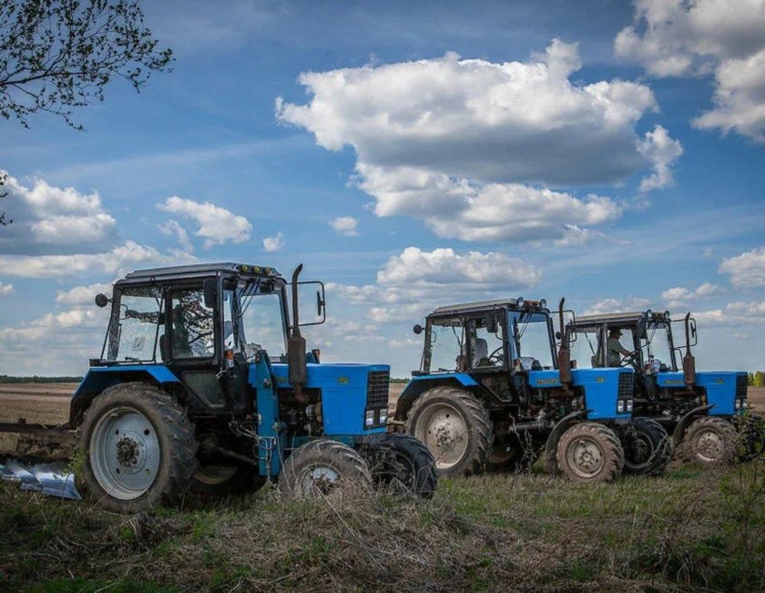 Трактор МТЗ 80 В поле