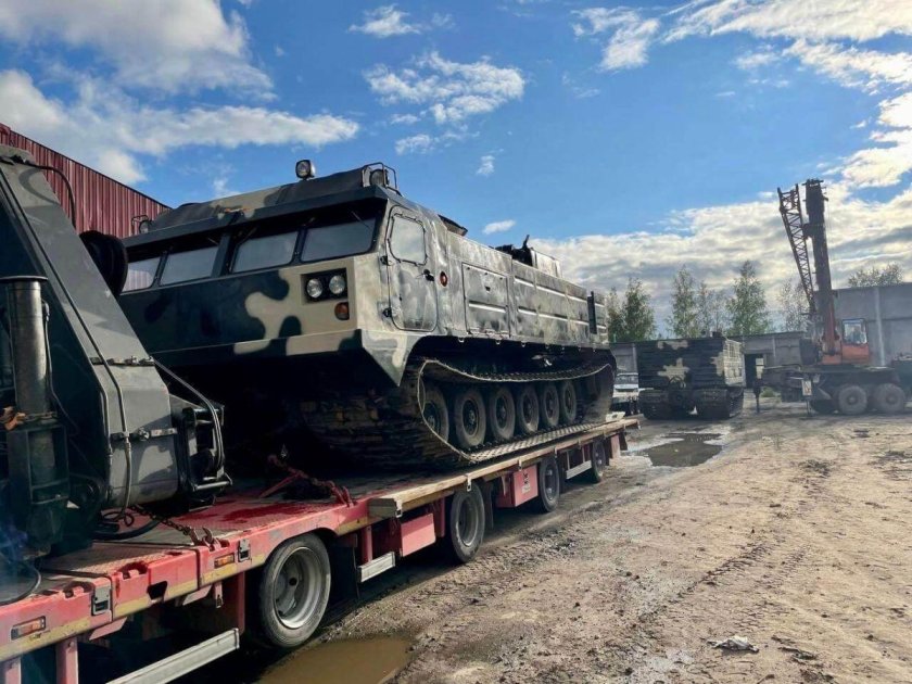 Витязь дт 30 п