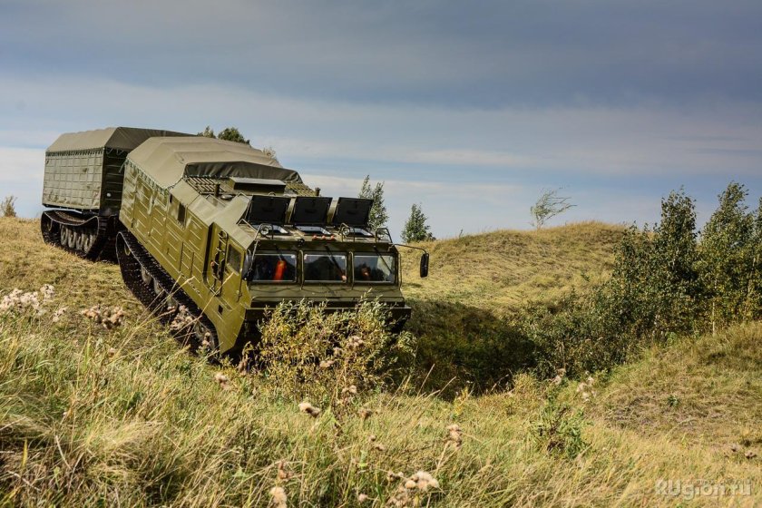 Витязь ДТ-30пм