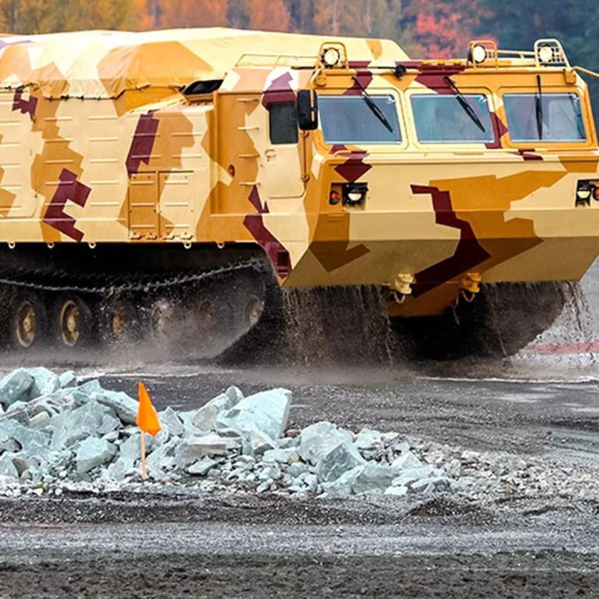 Витязь ДТ-30пм