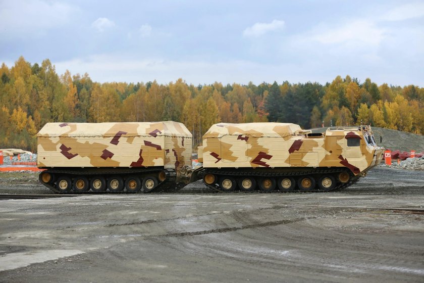 Витязь ДТ-30п