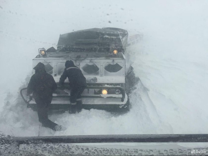 Вездеход ДТ-30пм Витязь Арктический камуфляж