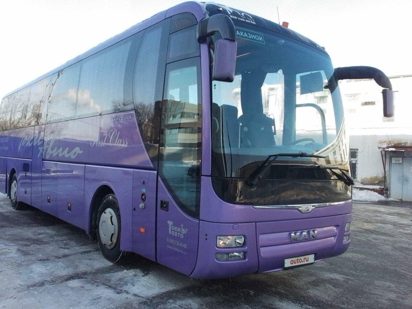 Ман lion's coach 2021