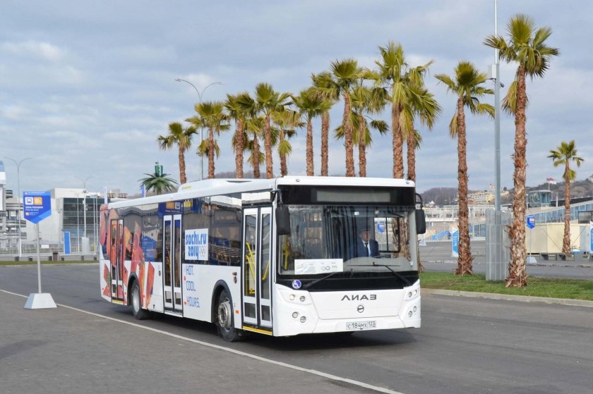 МАЗ-203 автобус Сочи Олимпийский парк