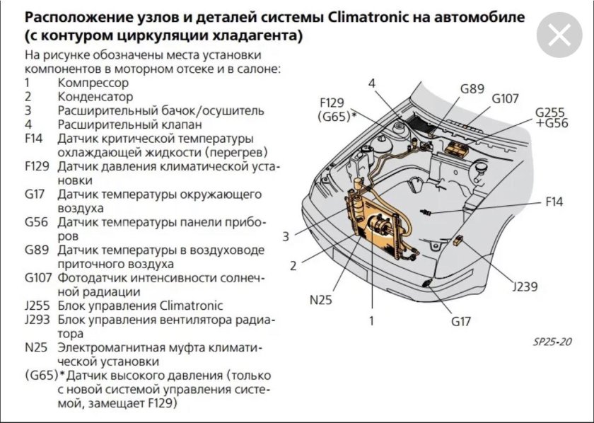 Схема моторного отсека Skoda Octavia