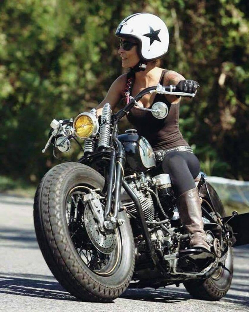 Харли Девинсон мотик