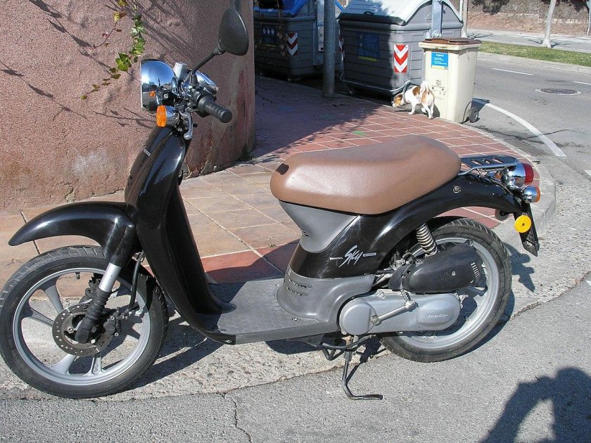Honda Sky 50