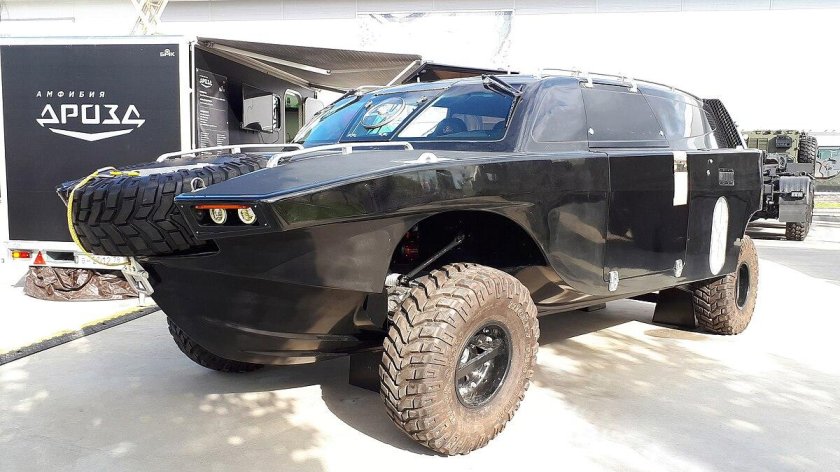 Амфибия Дрозд